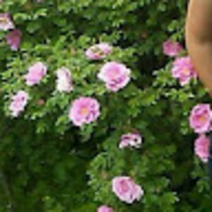 Meet your Posher, Bianca bureau